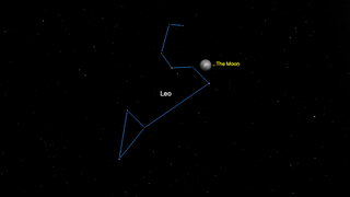 night sky graphic showing the moon shining in the Leo constellation.